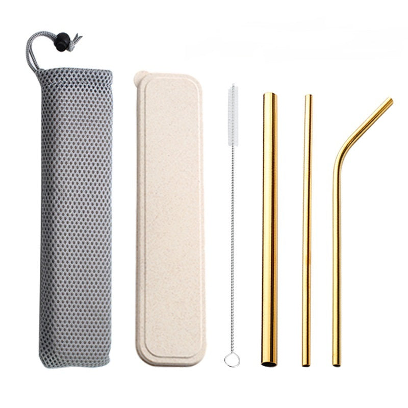 304 Stainless Steel Drinking Straw Set With Brush & Pouch