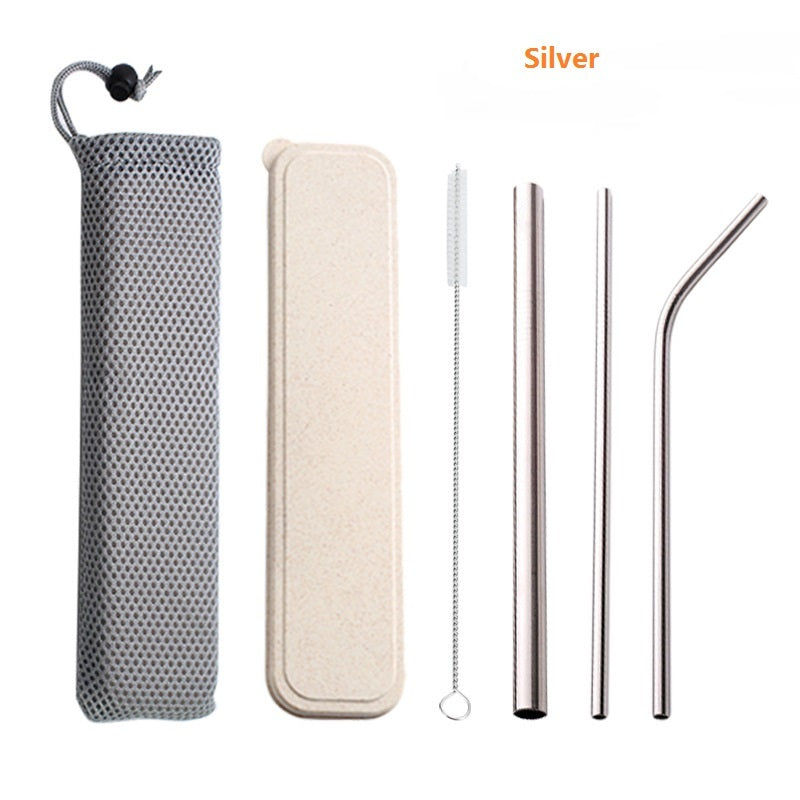 304 Stainless Steel Drinking Straw Set With Brush & Pouch