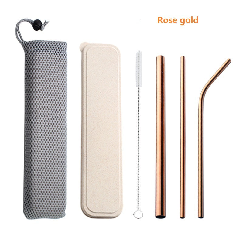 304 Stainless Steel Drinking Straw Set With Brush & Pouch