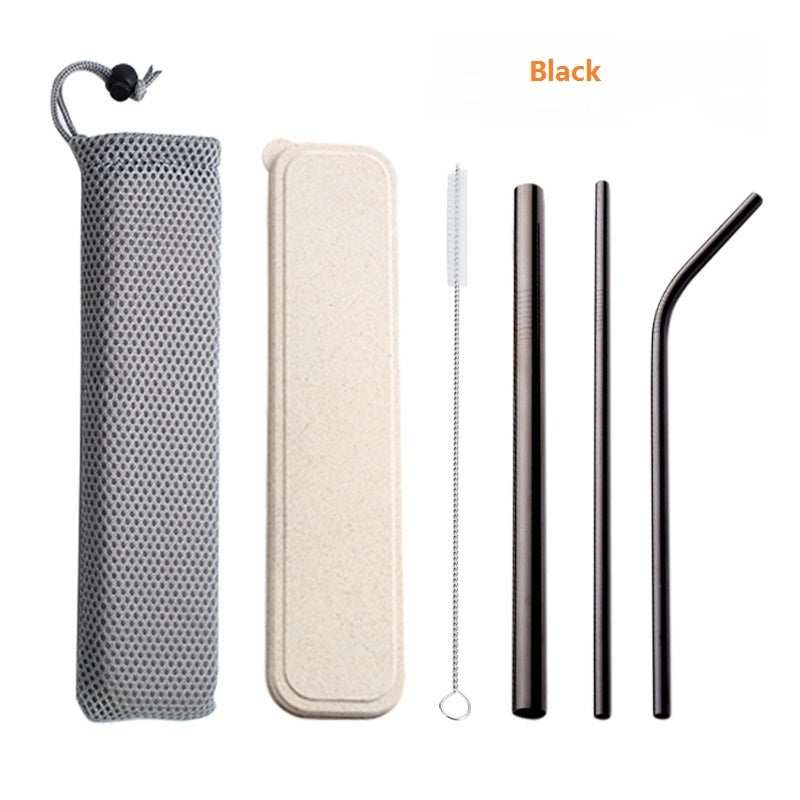 304 Stainless Steel Drinking Straw Set With Brush & Pouch