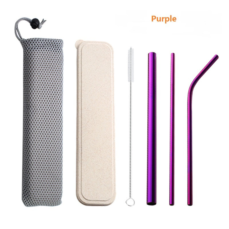 304 Stainless Steel Drinking Straw Set With Brush & Pouch