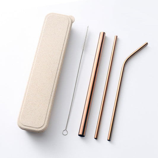 304 Stainless Steel Drinking Straw Set With Brush & Pouch